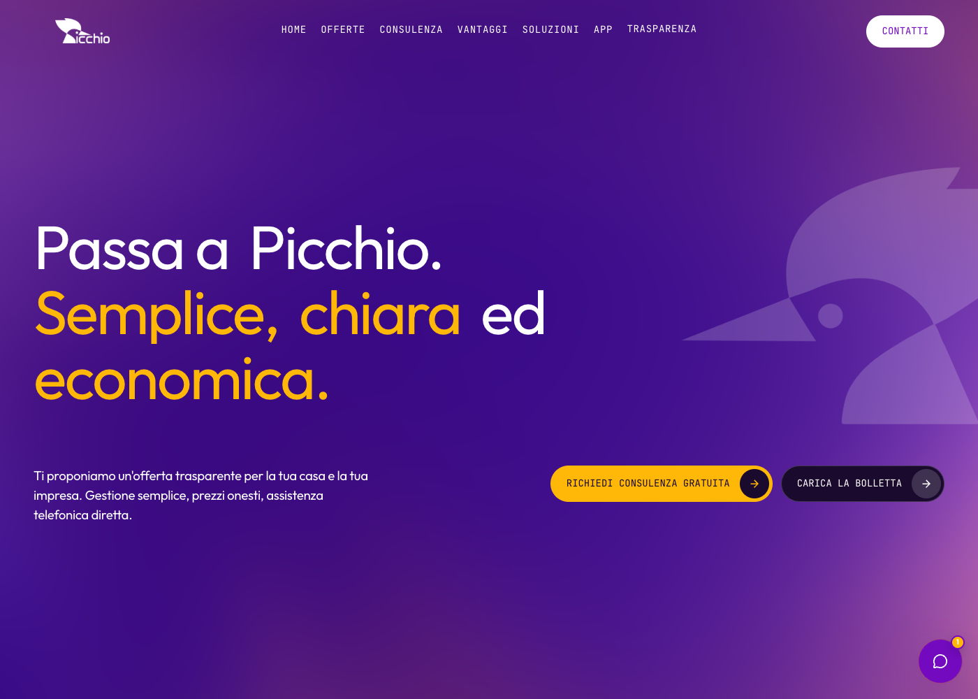 Picchio Luce e Gas